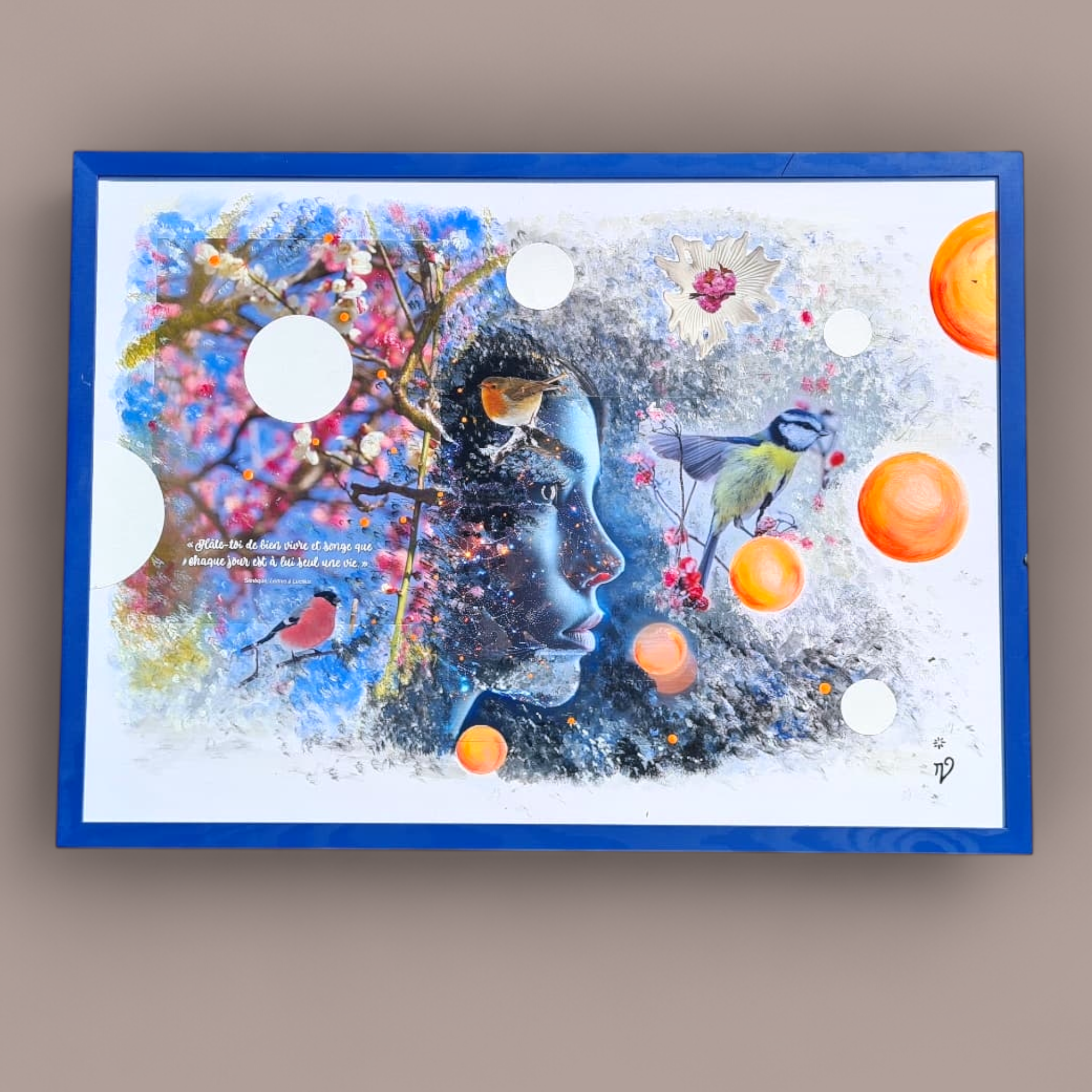 ✨️ Connexion ✨️